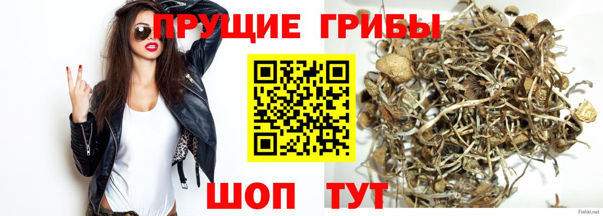 Галлюциногенные грибы GOLDEN TEACHER  Вход с VPN  Аксай 